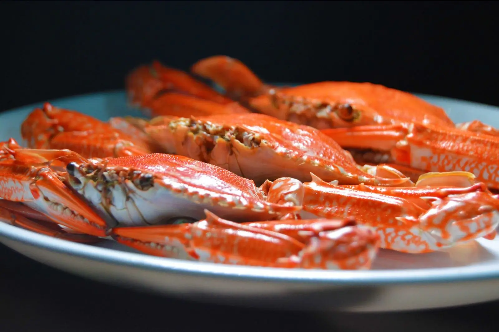 Platter of chilled Florida stone crab claws on ice with lemon and mustard sauce on a dockside table