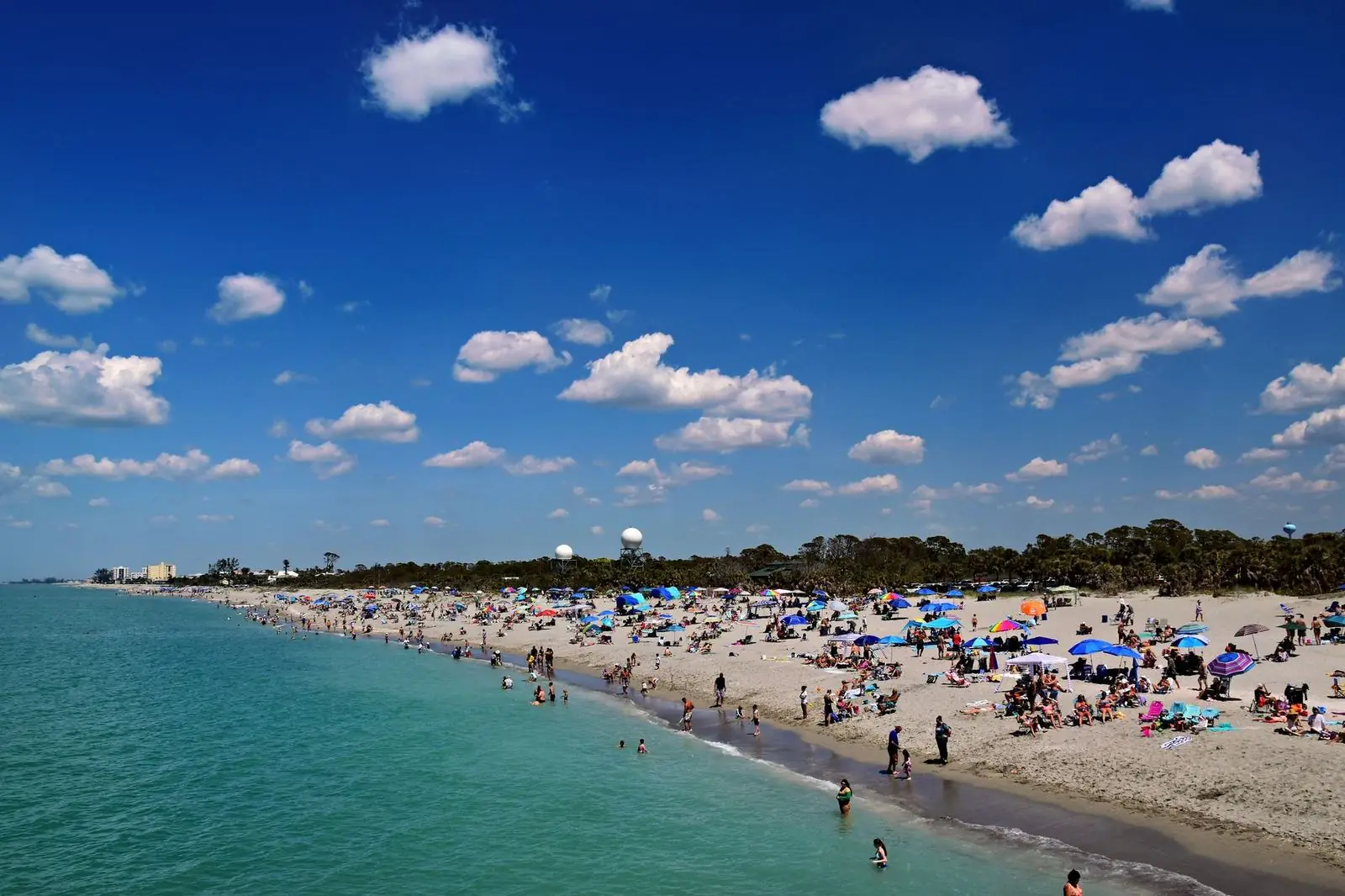 Wide white sand Naples beach lined with palms beside calm turquoise Gulf water