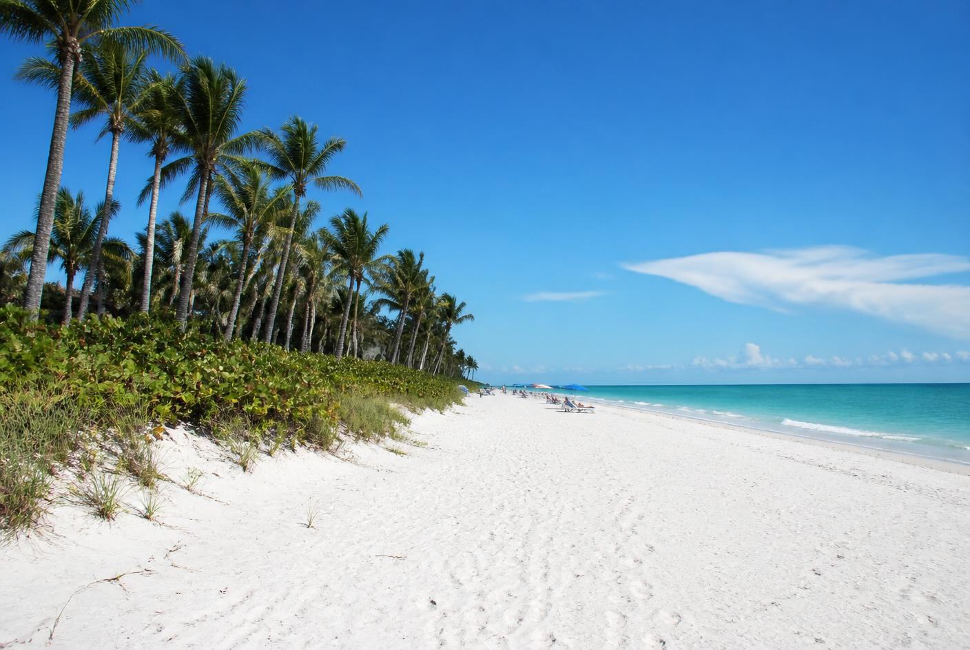 Wide white sand beach in Naples with palms along the dune line and turquoise Gulf water
